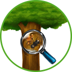 Baumpflege Sättele – BAUMKONTROLLE: Monitoring • Schädlingskontrolle • Schädlingsbekämpfung Baumkrankheiten / Pilze • Baumschadensdiagnose • Erfassung, Beobachtung und / oder Überwachung von Tierpopulationen